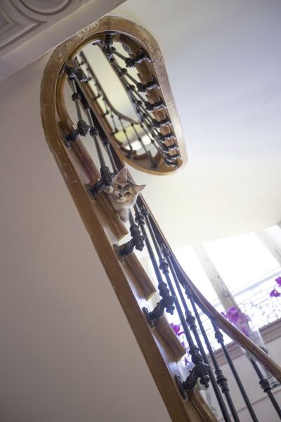 Escalier en colimaçon