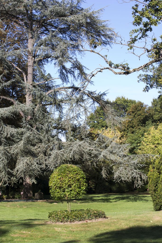 Domaine de la Belvaudière - Parc